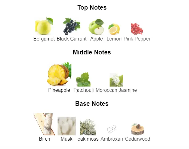 Creed-Aventus-notes.webp