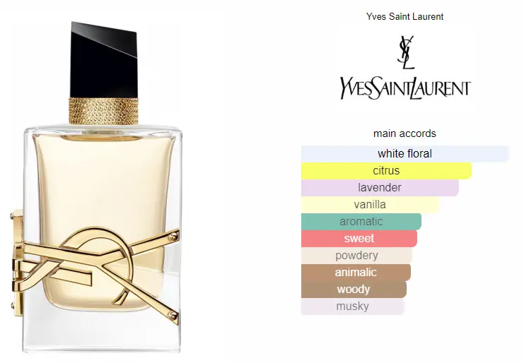 Libre-YSL.webp
