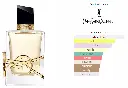 Libre-YSL.webp