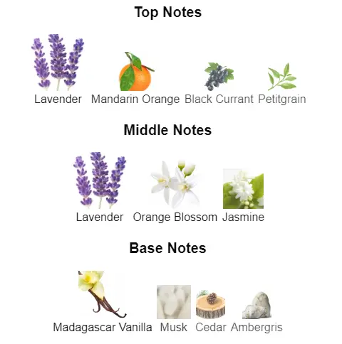 Libre-YSL-notes.webp