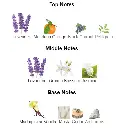 Libre-YSL-notes.webp