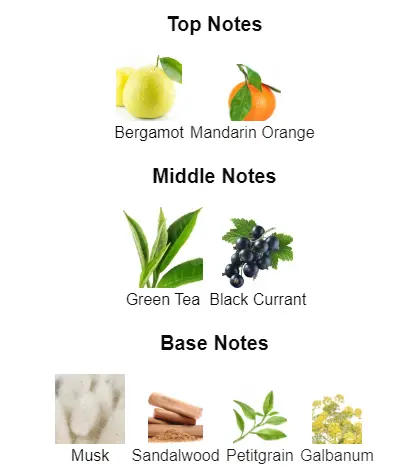 Silver-Creed-notes.webp