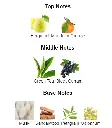Silver-Creed-notes.webp