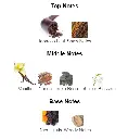 Tobacco-Vanille-notes.webp