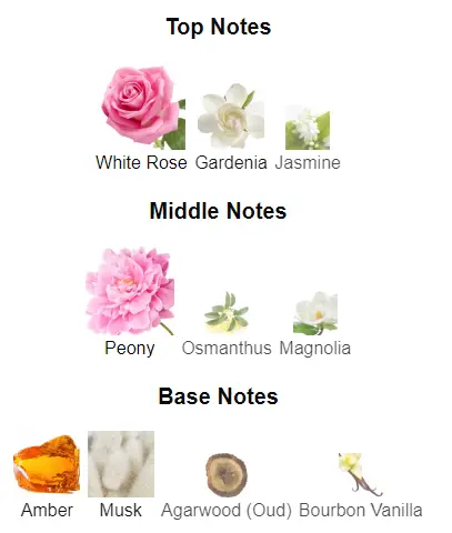 White-Oud-notes.webp
