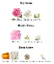 White-Oud-notes.webp