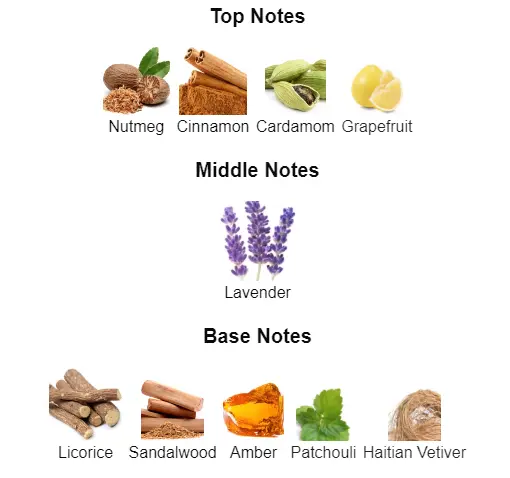 Sauvage-Elixir-notes.webp