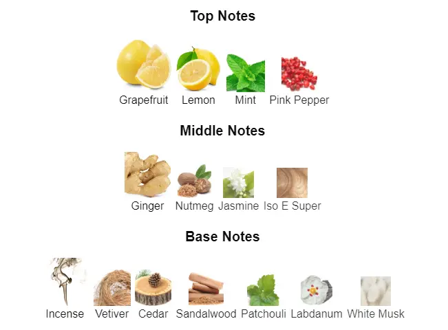 Bleu-De-Chanel-notes.webp
