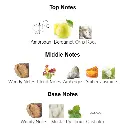 Office-For-Men-notes.webp