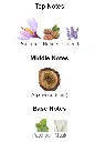 Oud-for-Greatness-notes.webp