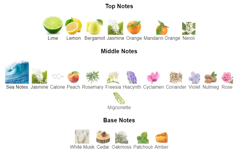 Acqua-di-Gio-notes.webp