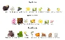 Black-Orchid-notes.webp