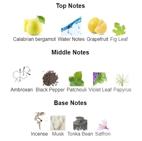 Dylan-Blue-Versace-notes.webp