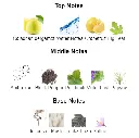 Dylan-Blue-Versace-notes.webp