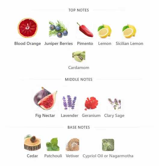 K-by-DG-notes.webp