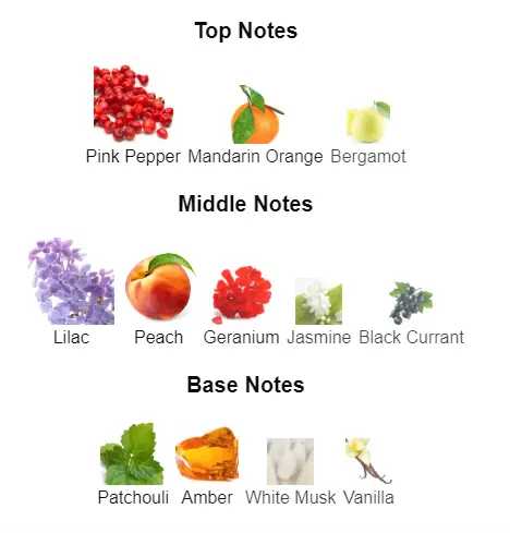 Gucci-Guilty-notes.webp
