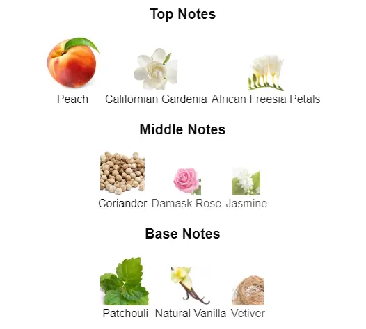 Gucci-Rush-notes.webp