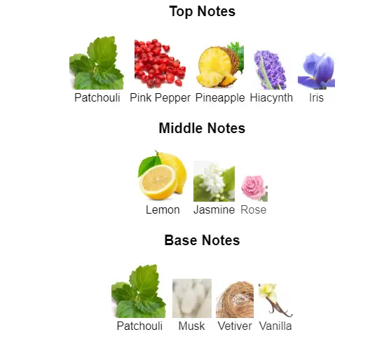 Chanel-Chance-notes.webp