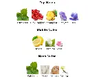 Chanel-Chance-notes.webp