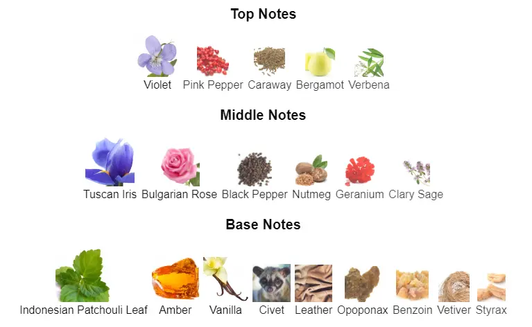 Noir-T.F-notes.webp