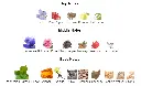 Noir-T.F-notes.webp