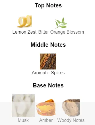 Thomas-Kosmala-no4-notes.webp