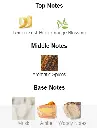 Thomas-Kosmala-no4-notes.webp